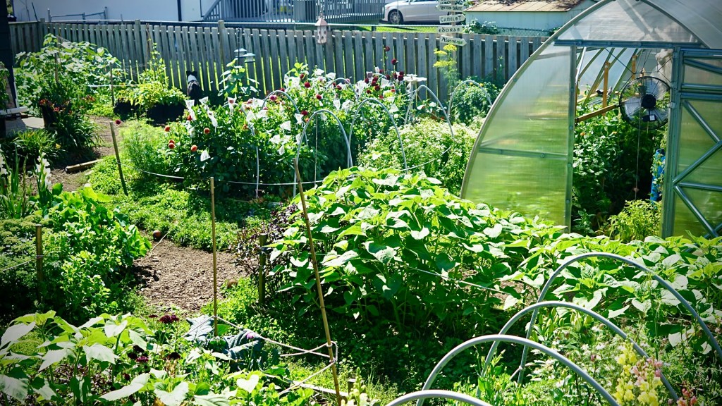 The Start Of A Dream In Thunder&nbsp;Bay